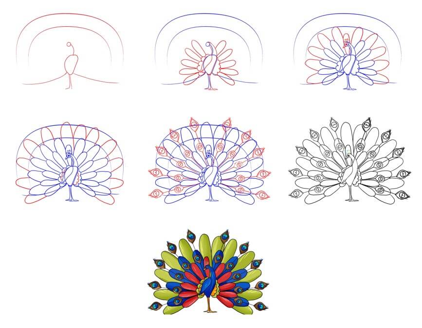Desenhos de Pavão básico