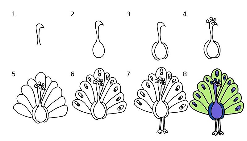Desenhos de Pavão de cauda azul