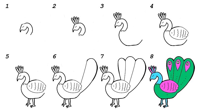 Desenhos de Pavão dormindo