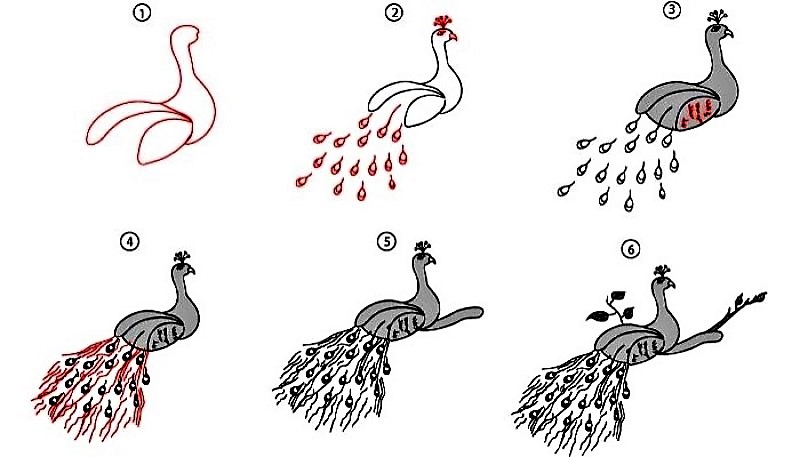 Desenhos de Pavão em um galho