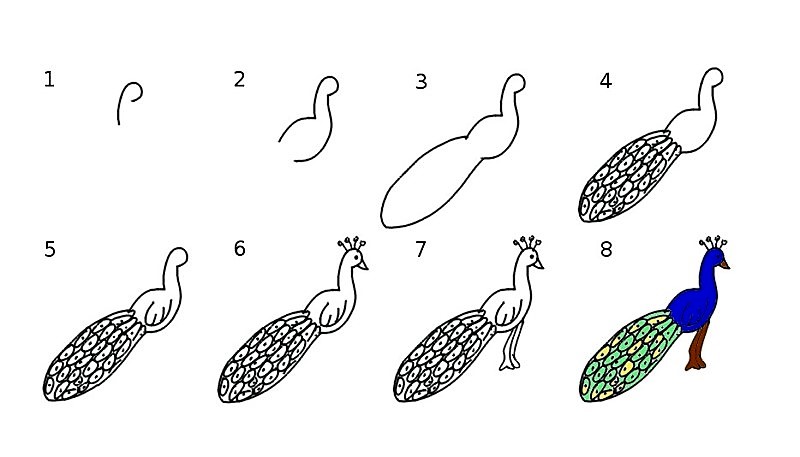 Desenhos de Pavão imprimível