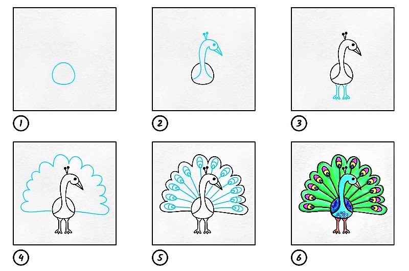 Desenhos de Pavão incrível