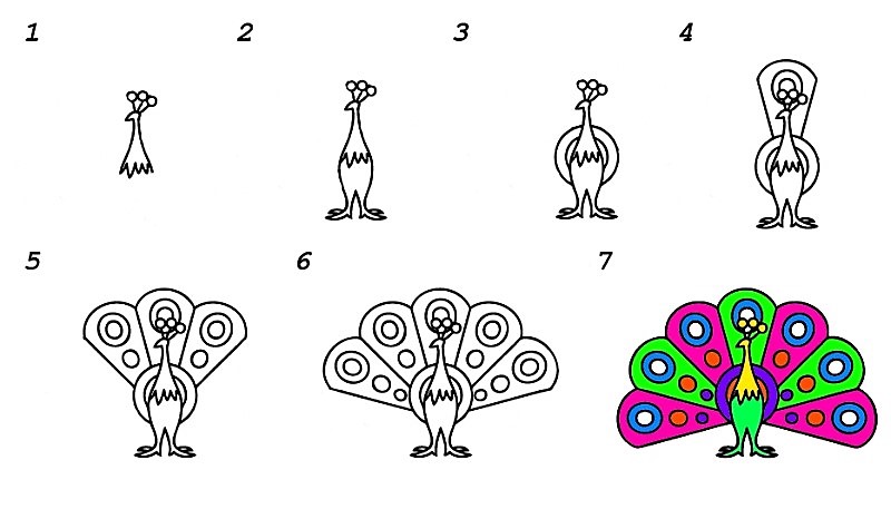 Desenhos de Pavão multicolorido