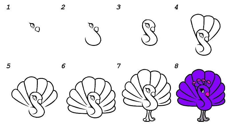 Desenhos de Pavão roxo