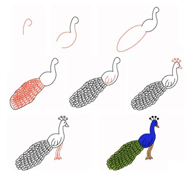 Desenhos de Pavão simples