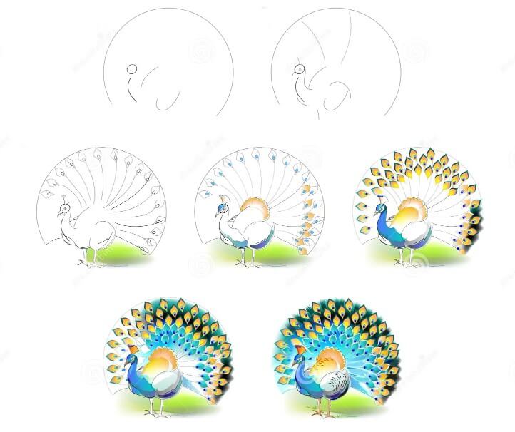 Desenhos de Pavão tão lindo