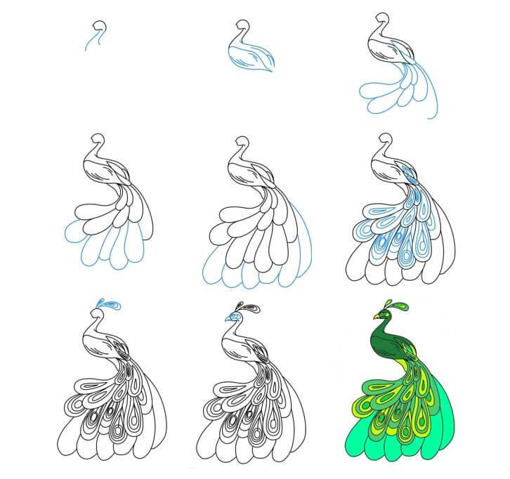 Desenhos de Pavão Verde