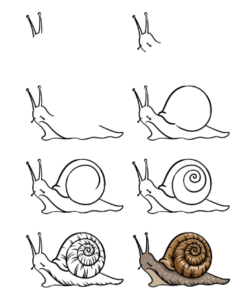 Desenhos de Um caracol detalhado