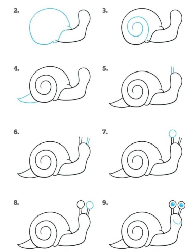 Desenhos de Um caracol passo a passo