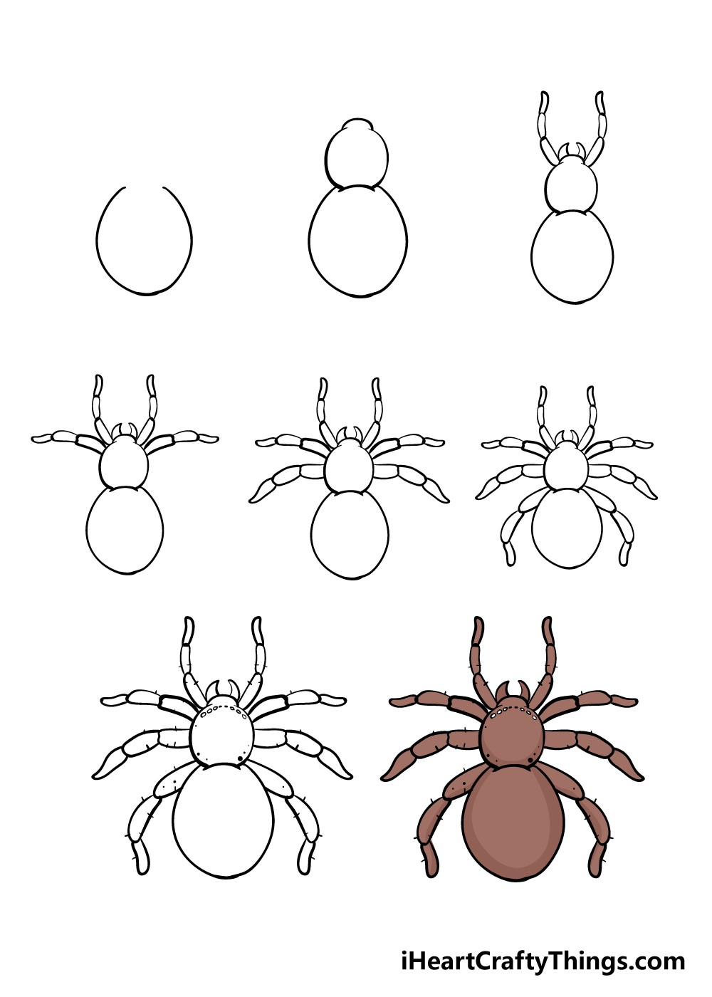 Desenhos de Aranhas