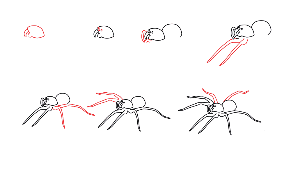 Desenhos de Uma aranha simples