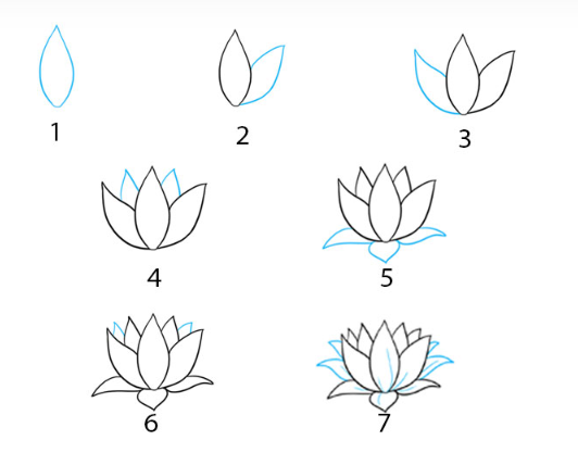 Desenhos de Uma flor de lótus começa a florescer