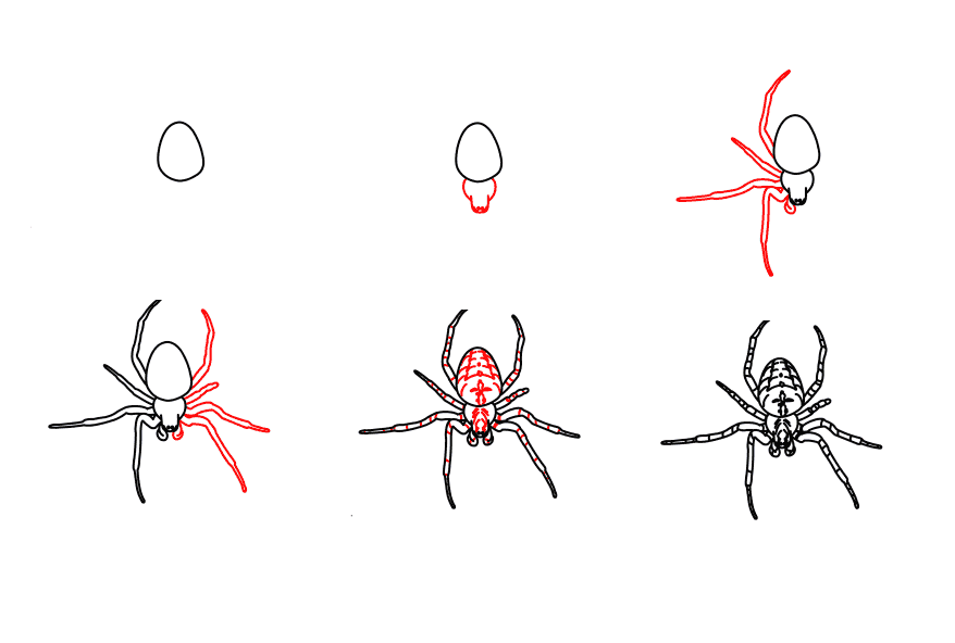 Desenhos de Uma simples aranha