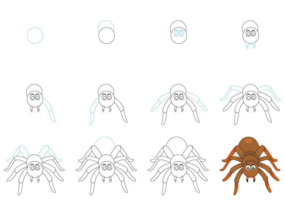 Desenhos de Vista frontal aranha