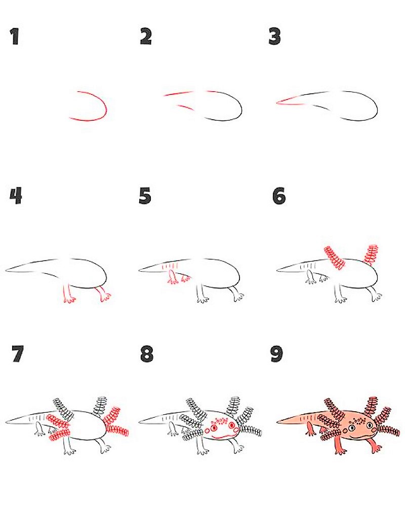 Desenhos de A ideia do Axolotl 1