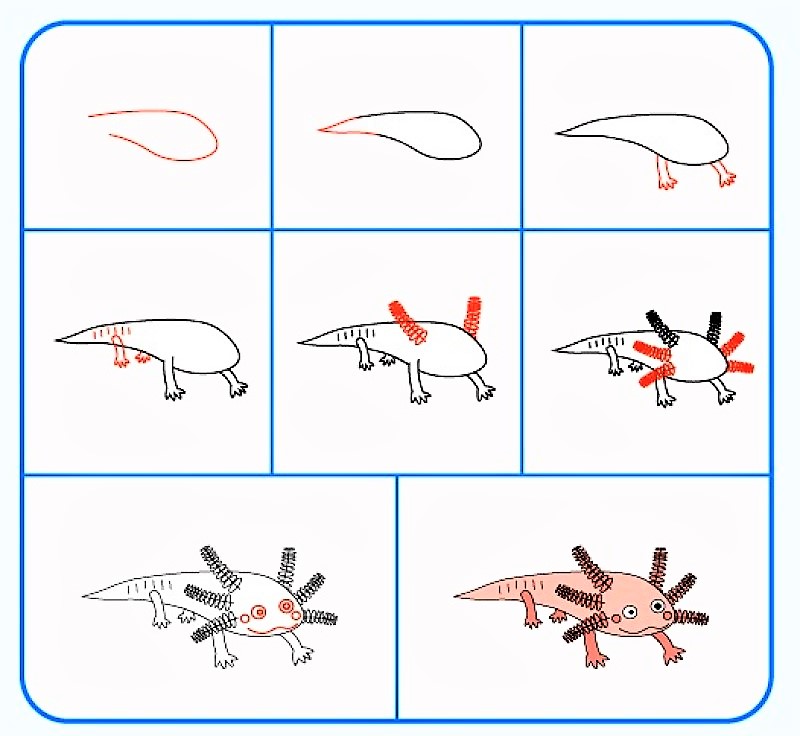 Desenhos de A ideia do Axolotl 5