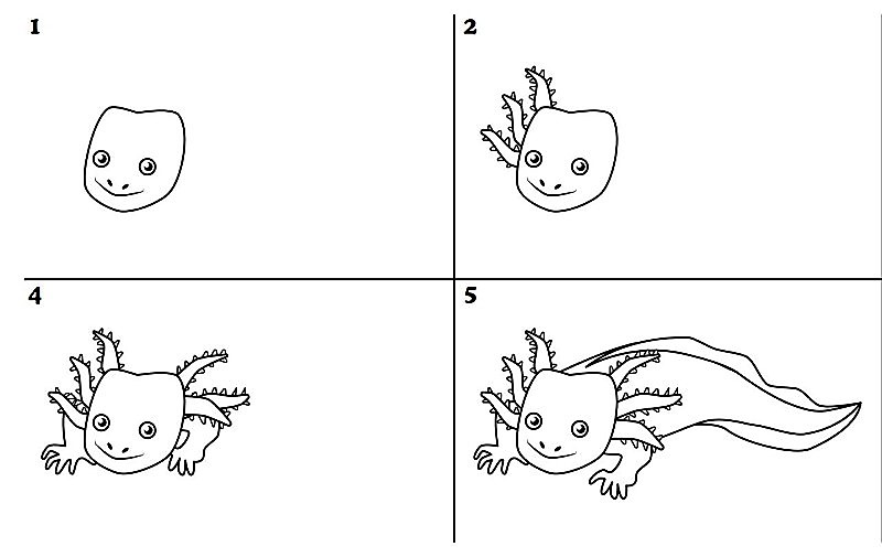 Desenhos de A ideia do Axolotl 7