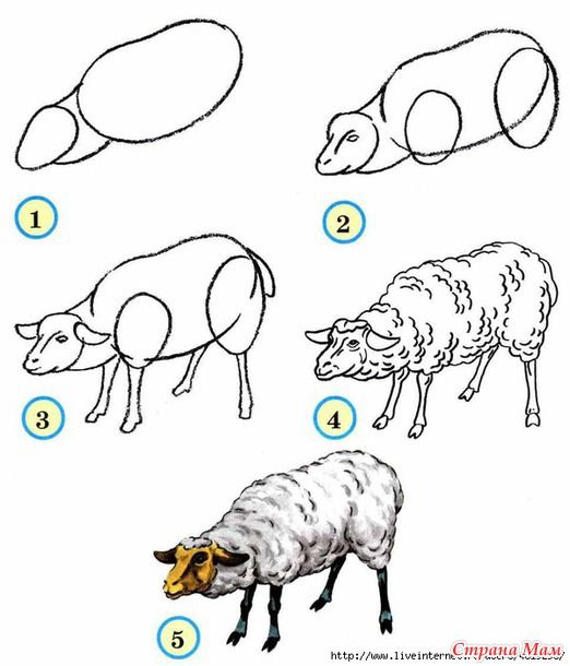 Desenhos de Arte com ovelha