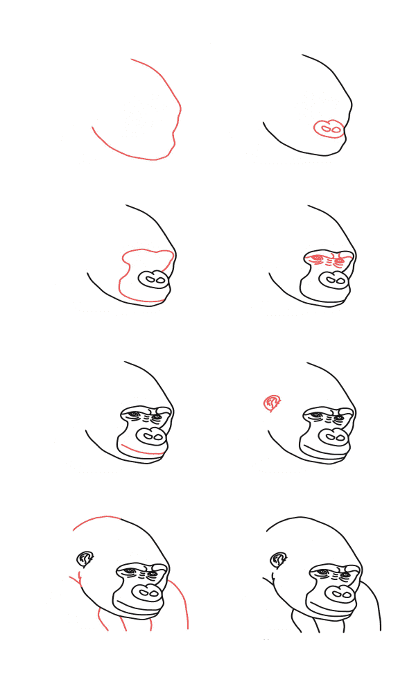 Desenhos de Cabeça de gorila