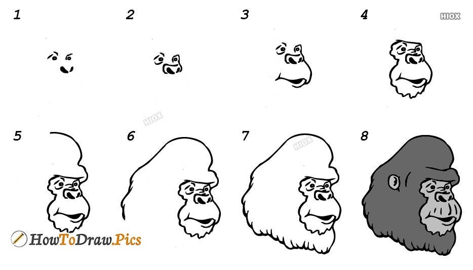 Desenhos de Cabeça de Gorila grátis