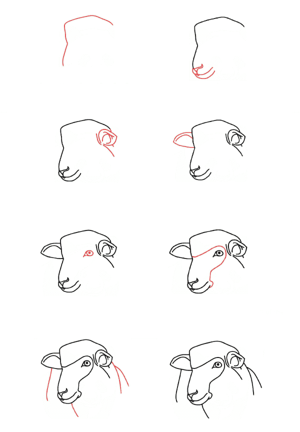 Desenhos de Cabeça de ovelha