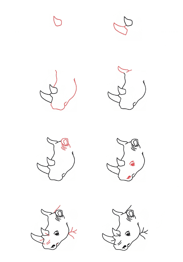 Desenhos de Cabeça de rinoceronte