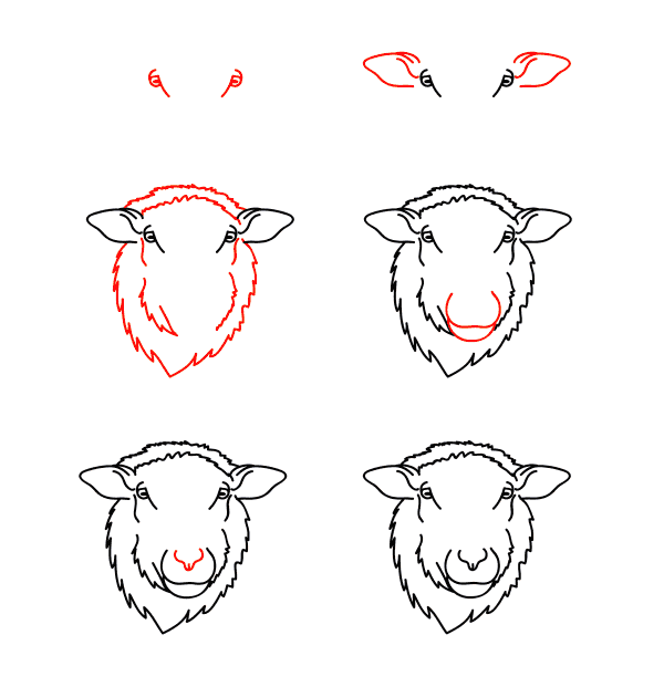 Desenhos de Cara de ovelha