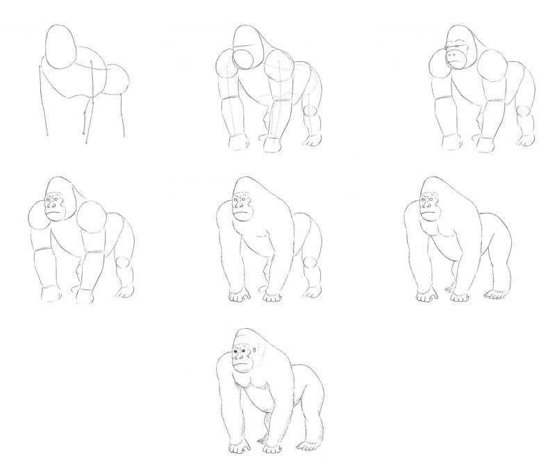 Desenhos de Contorno de gorila