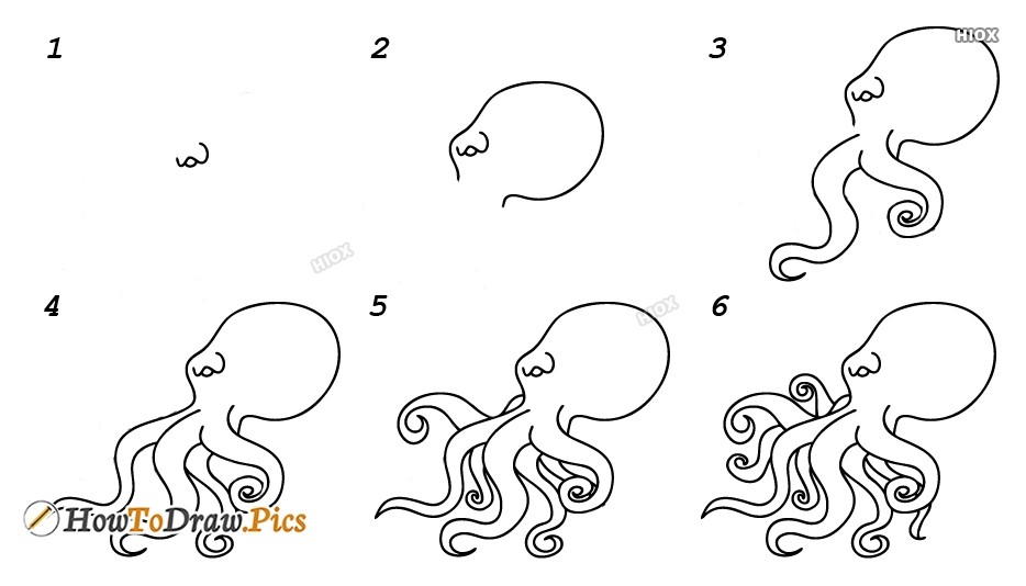 Desenhos de Contorno de polvo