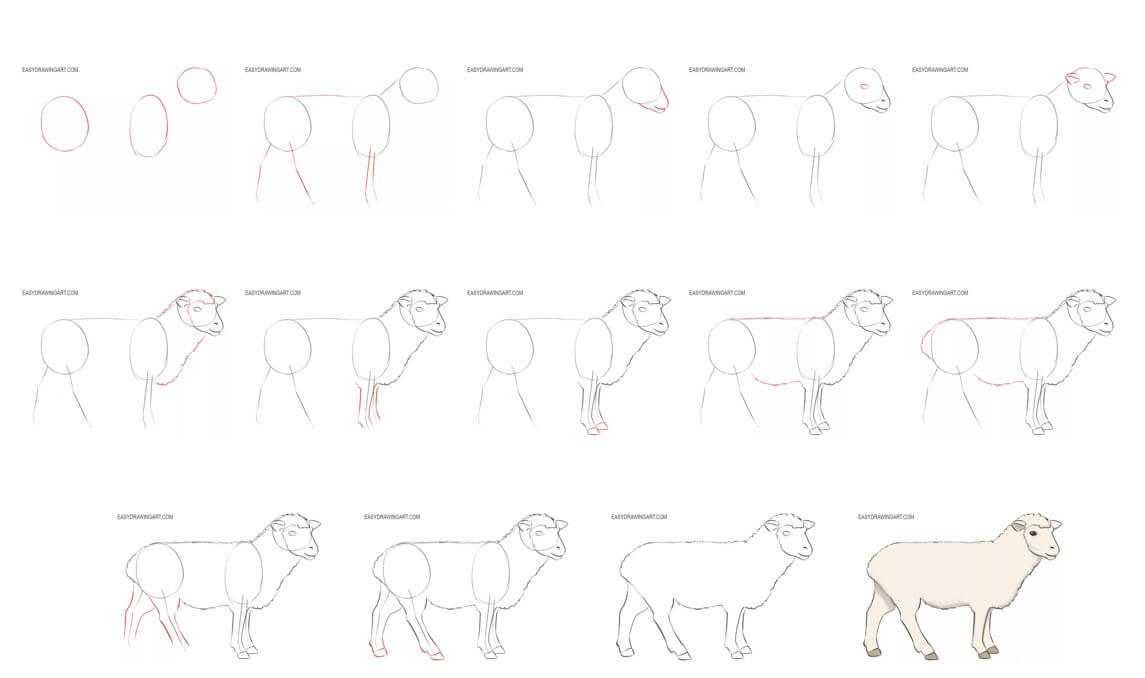 Desenhos de Detalhe de ovelha