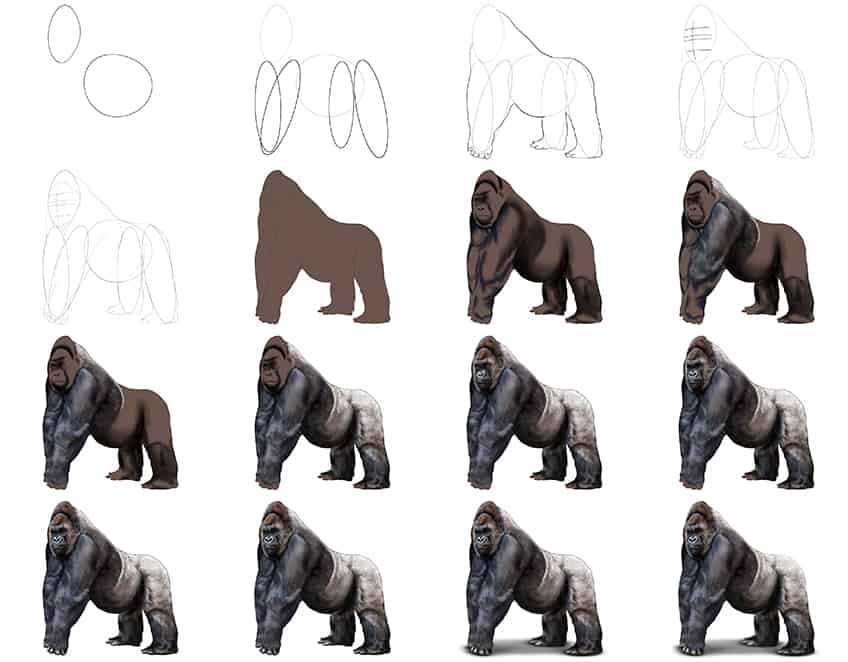 Desenhos de Detalhes realistas de gorila