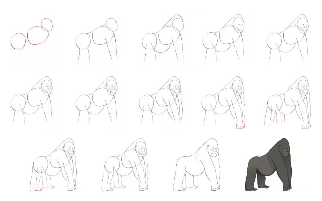 Desenhos de Gorila de detalhes