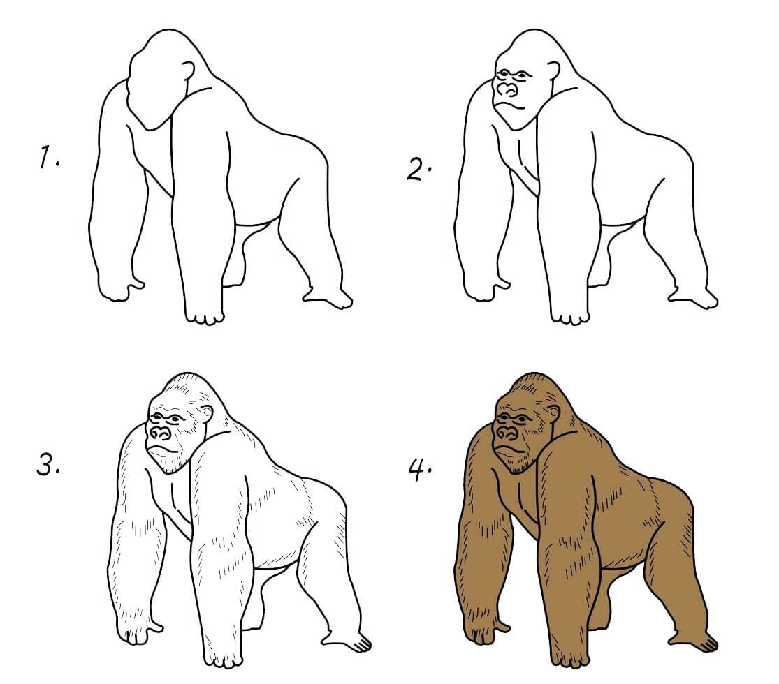 Desenhos de Gorila Gigante