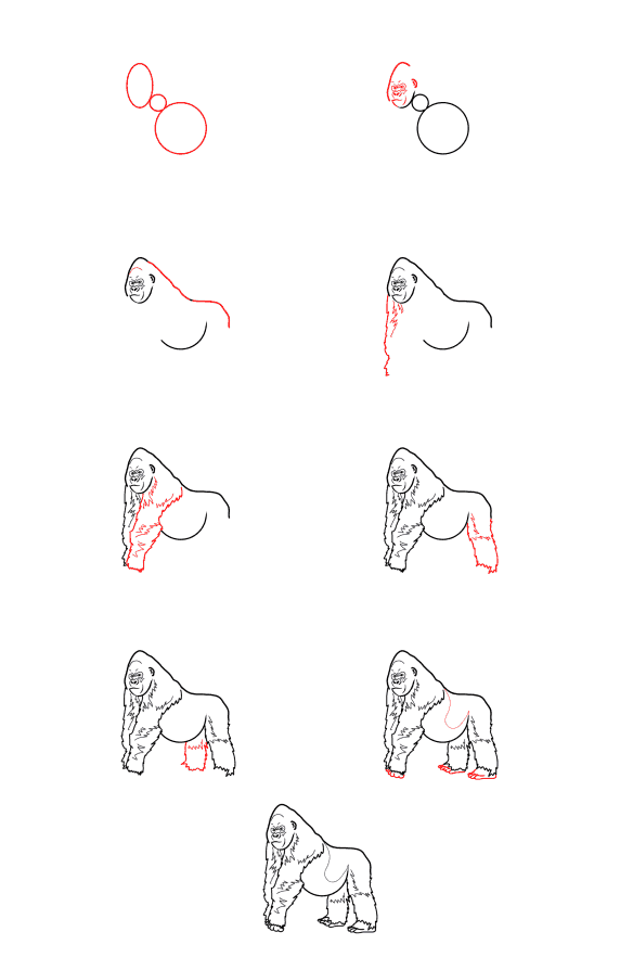 Desenhos de Gorila realista