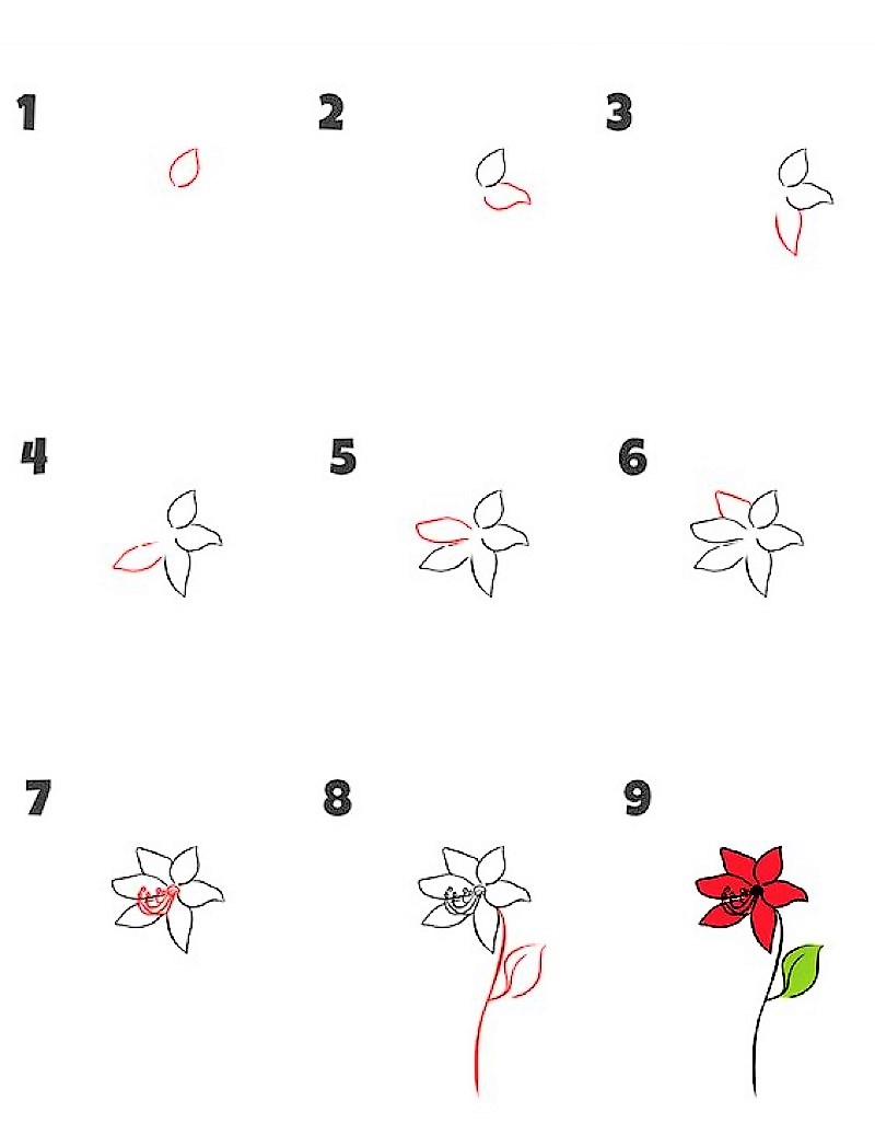 Desenhos de Ideia de flor de lírio 2