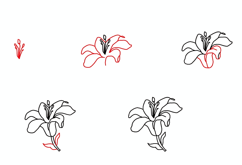 Desenhos de Ideia de flor de lírio 3