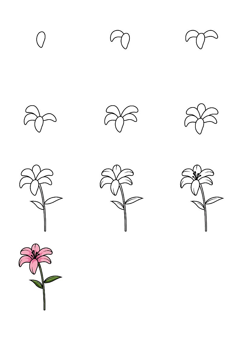 Desenhos de Ideia de flor de lírio 6