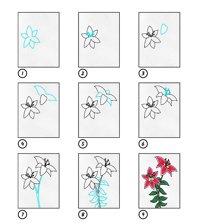 Desenhos de Ideia de flor de lírio 7