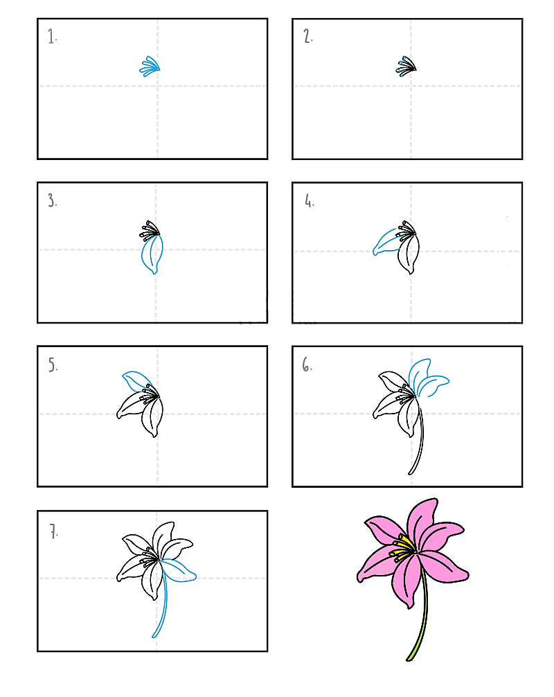 Desenhos de Ideia de flor de lírio 9