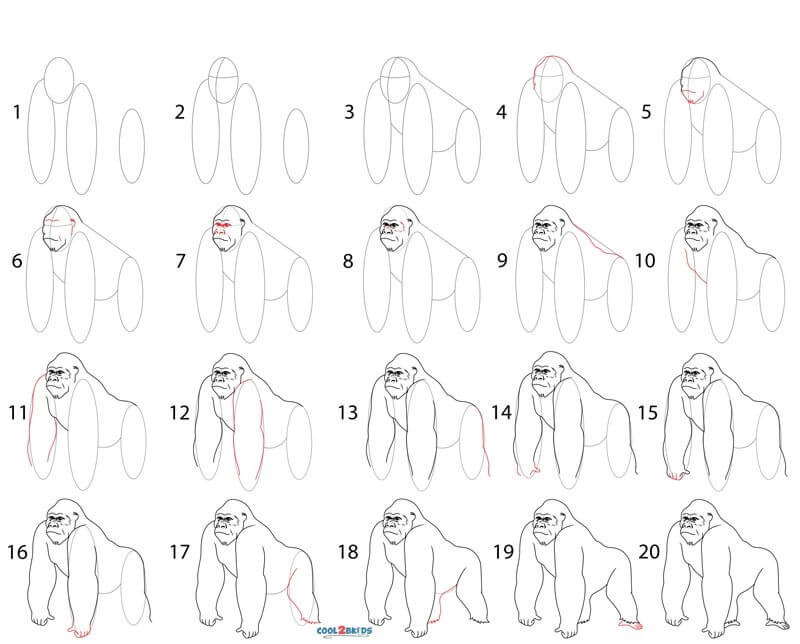 Desenhos de Imagem de detalhe de gorila