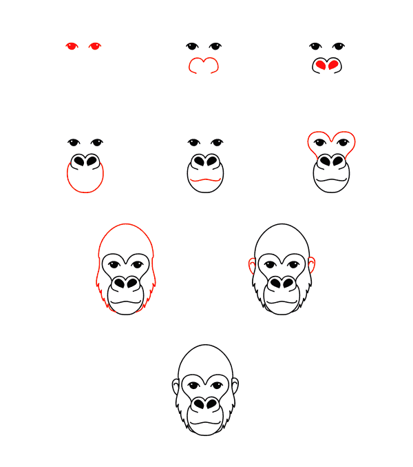 Desenhos de Imagem de rosto de gorila
