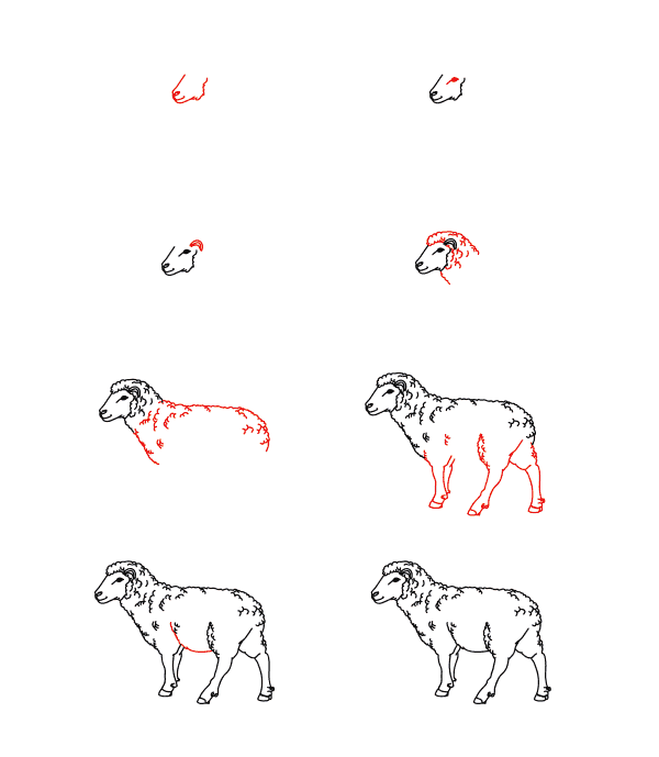 Desenhos de Ovelha realista grátis