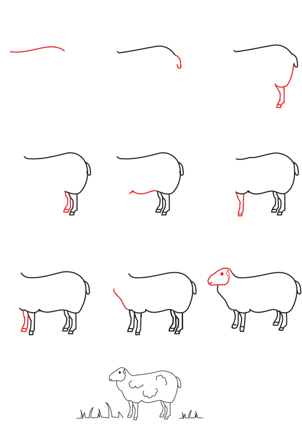 Desenhos de Ovelha simples