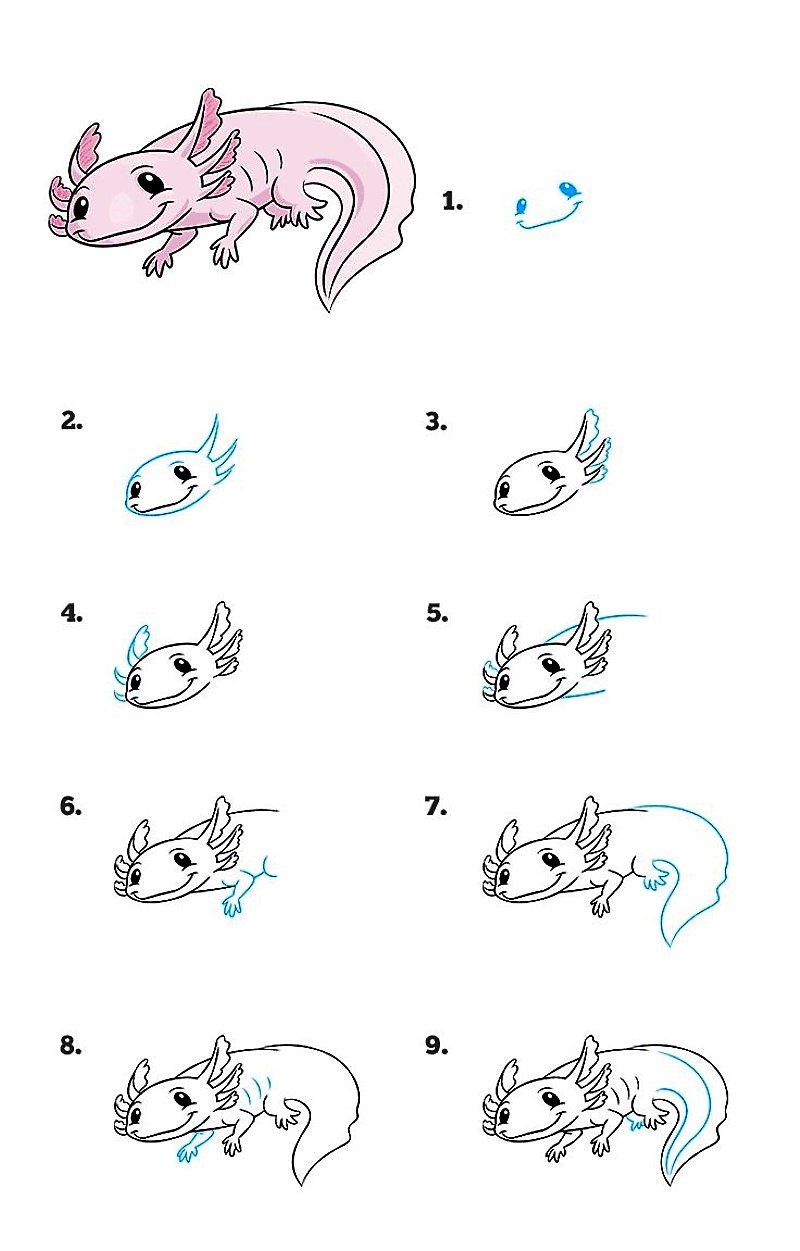 Desenhos de Um Axolotl passo a passo detalhado