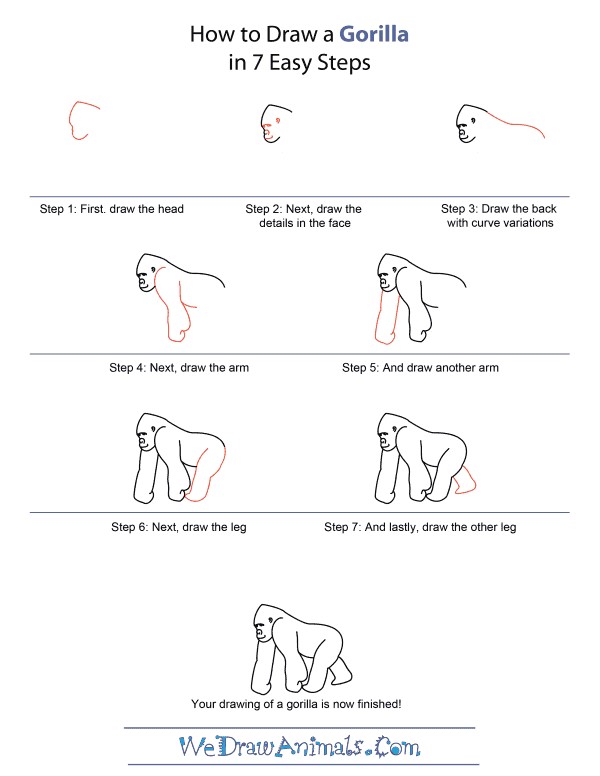 Desenhos de Um gorila básico