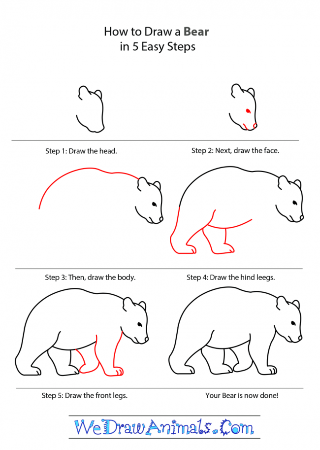 Desenhos de Um urso