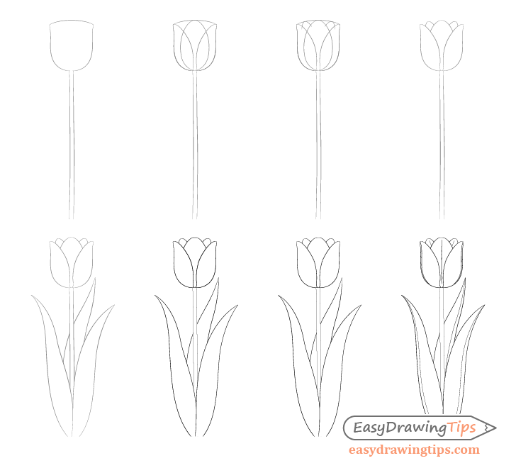 Desenhos de Ideia da tulipa 2