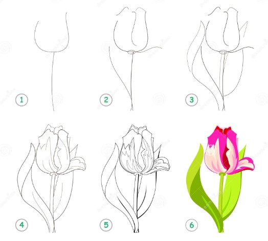 Desenhos de Ideia de tulipa 10