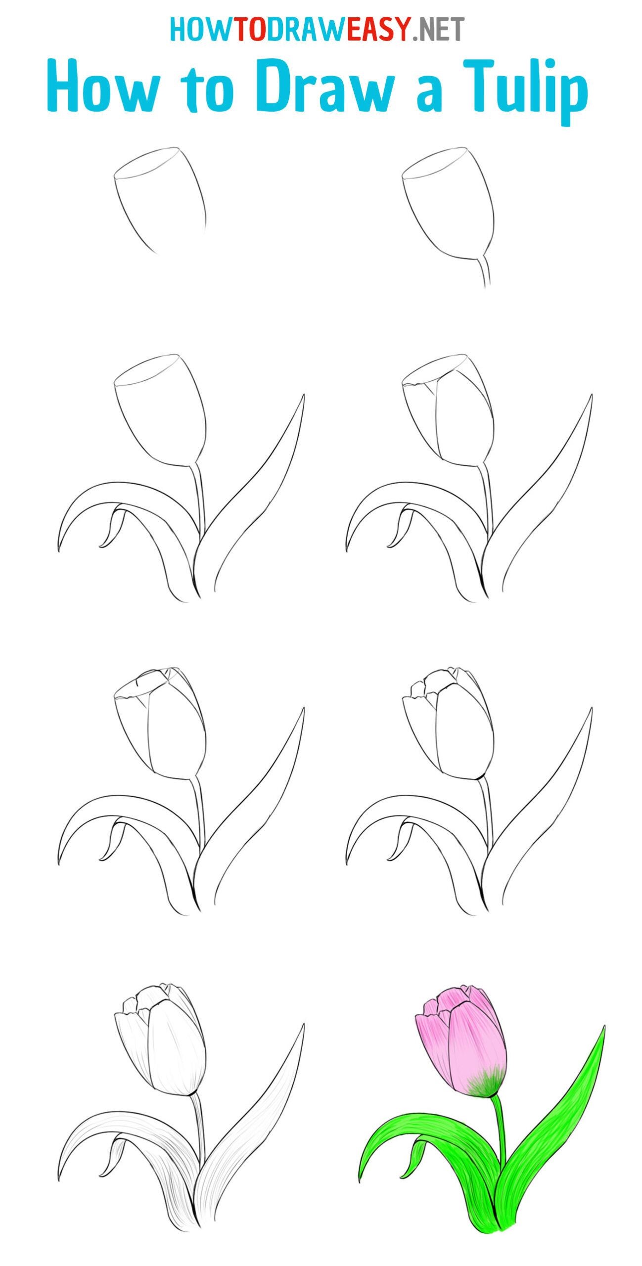 Desenhos de Ideia de tulipa 3