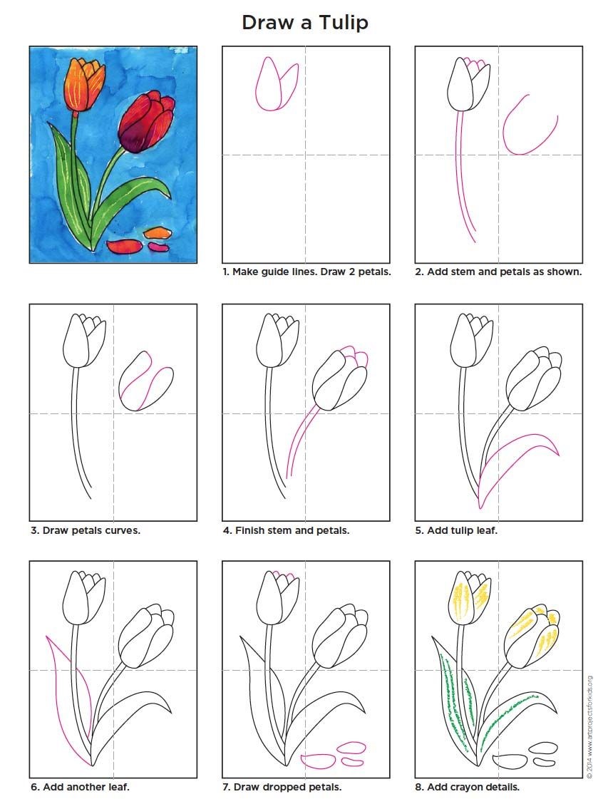 Desenhos de Ideia de tulipa 4